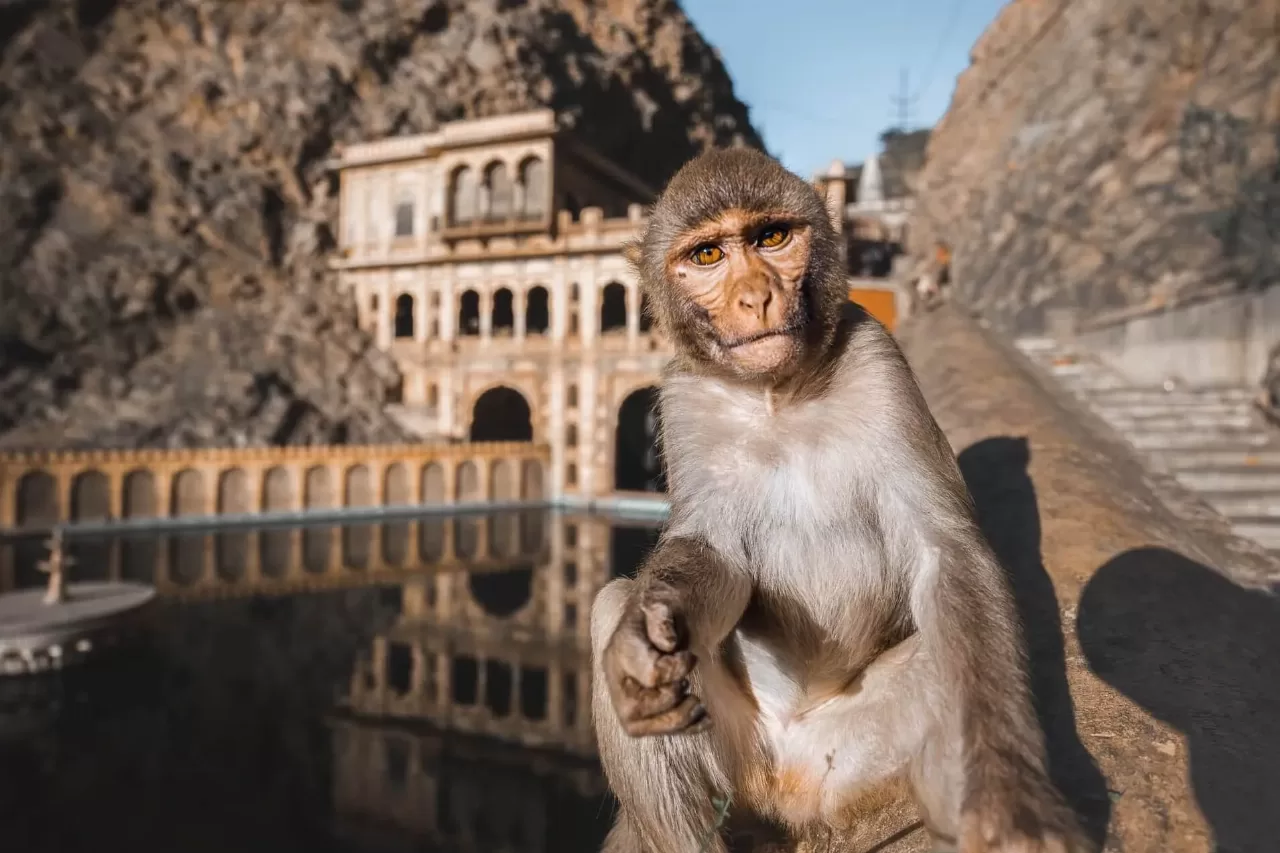 7-Day Golden Triangle Tour